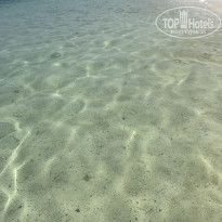 фото из отзыва ID 2606445