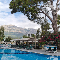 фото из отзыва ID 2606492