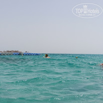 фото из отзыва ID 2606521