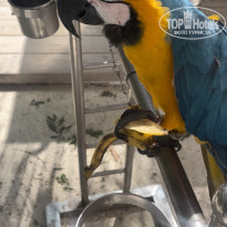 фото из отзыва ID 2606621