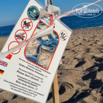 фото из отзыва ID 2606707