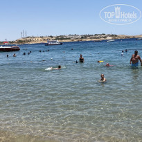 фото из отзыва ID 2606712