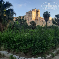 фото из отзыва ID 2606724