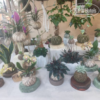 фото из отзыва ID 2606724