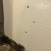 фото из отзыва ID 2606778