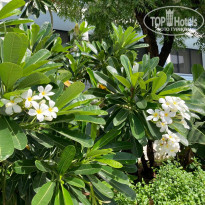 фото из отзыва ID 2607018