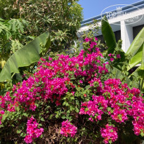 фото из отзыва ID 2607018