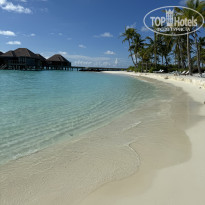 фото из отзыва ID 2607064