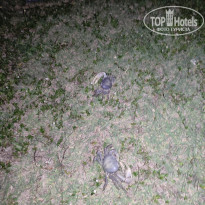 фото из отзыва ID 2605925