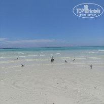 фото из отзыва ID 2605925