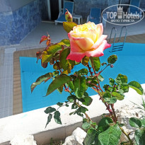 фото из отзыва ID 2607105