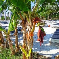 фото из отзыва ID 2607105