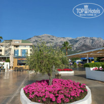 фото из отзыва ID 2607366