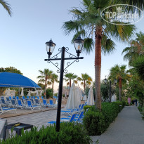 фото из отзыва ID 2607374