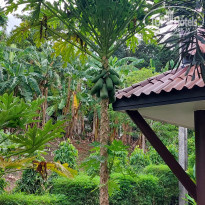 фото из отзыва ID 2607429