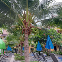 фото из отзыва ID 2607429