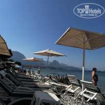 фото из отзыва ID 2607484