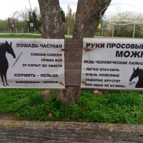 фото из отзыва ID 2607547