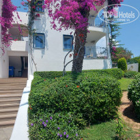 фото из отзыва ID 2607624