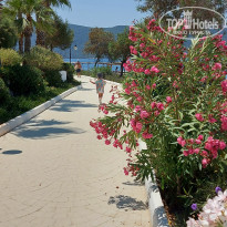 фото из отзыва ID 2607624