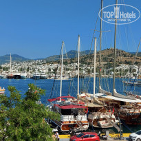 фото из отзыва ID 2607624