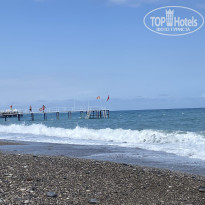 фото из отзыва ID 2607561