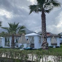 фото из отзыва ID 2607561