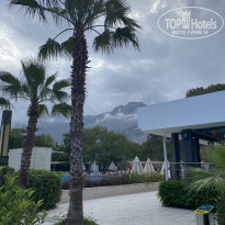 фото из отзыва ID 2607561