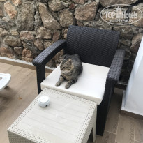 фото из отзыва ID 2607512