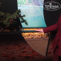 фото из отзыва ID 2607856