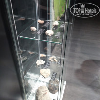 фото из отзыва ID 2607856