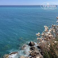 фото из отзыва ID 2608015