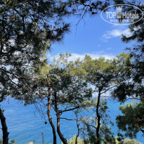 фото из отзыва ID 2608015