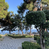 фото из отзыва ID 2608015