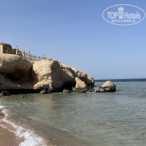 фото из отзыва ID 2608062