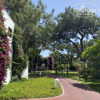 фото из отзыва ID 2608098