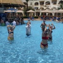 фото из отзыва ID 2608313