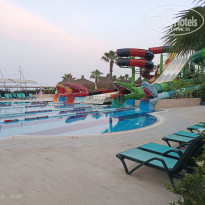 фото из отзыва ID 2608412