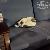 фото из отзыва ID 2608549