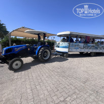 фото из отзыва ID 2608549