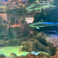 фото из отзыва ID 2608572