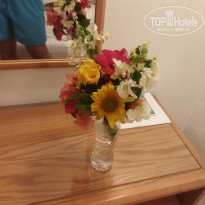 фото из отзыва ID 2608652