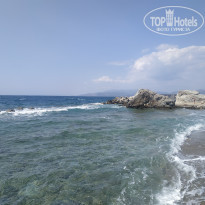 фото из отзыва ID 2608688