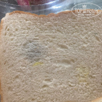 фото из отзыва ID 2608724