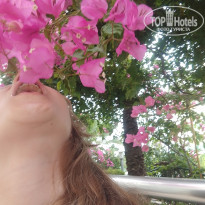 фото из отзыва ID 2608820