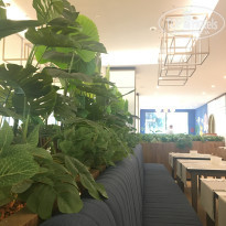 фото из отзыва ID 2608843