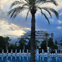 фото из отзыва ID 2608852