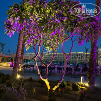 фото из отзыва ID 2608856