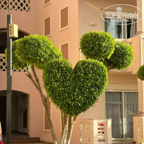 фото из отзыва ID 2608856