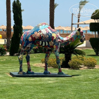 фото из отзыва ID 2608856